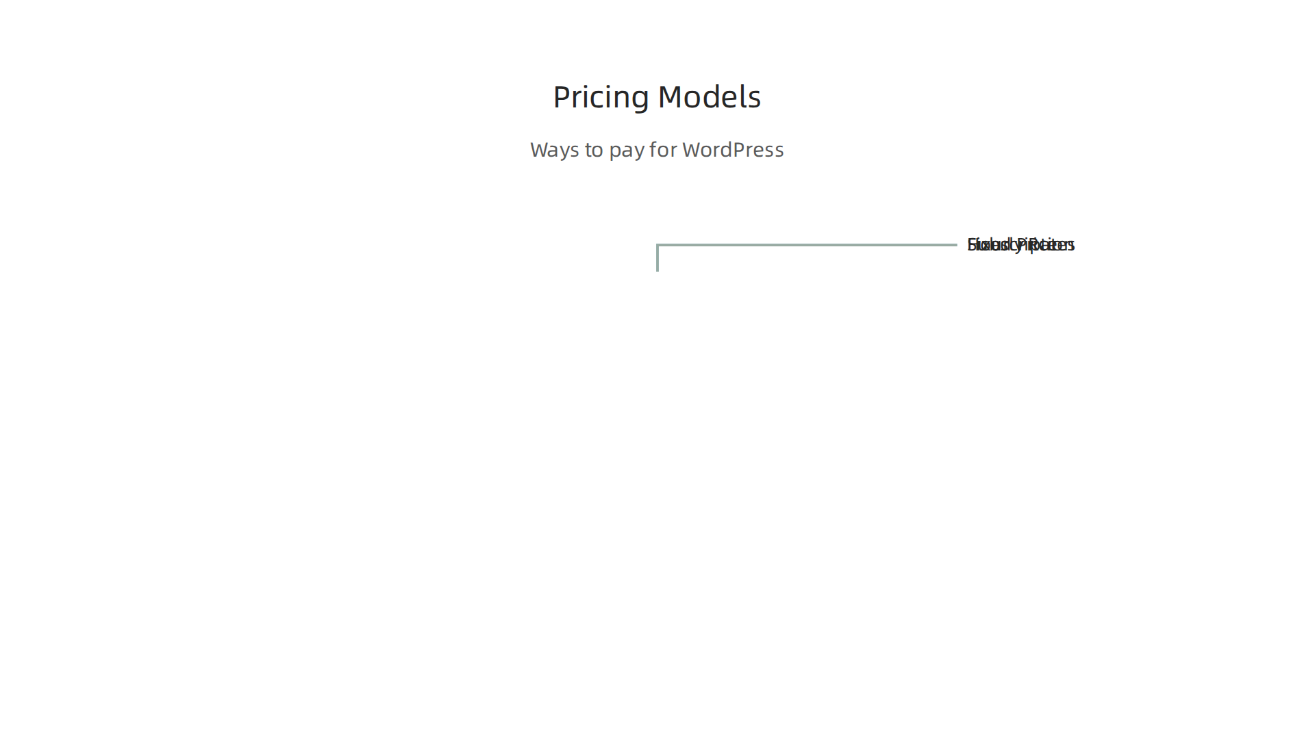 An infographic detailing common pricing models for WordPress website development, helping businesses budget effectively.