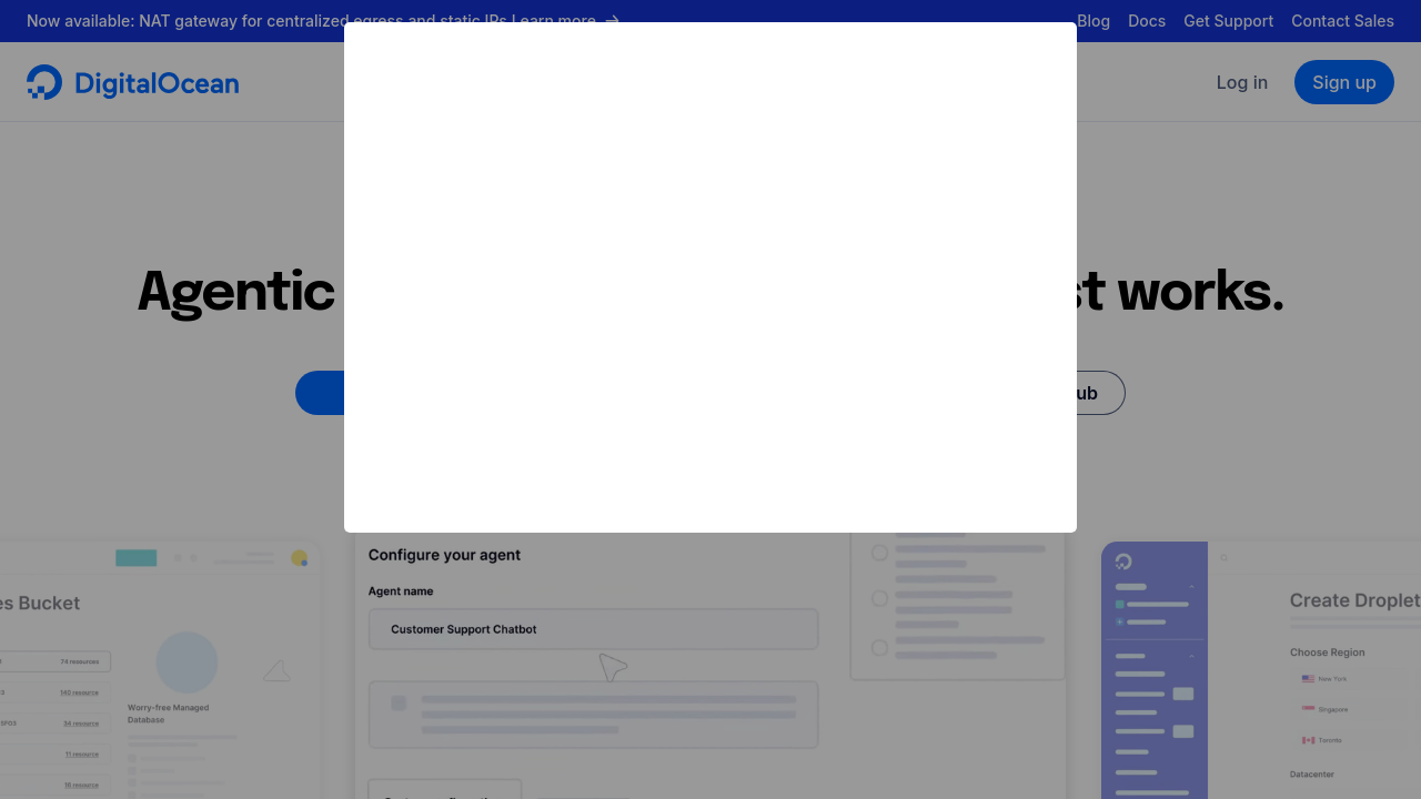 Weblish Insights: A Glimpse into a Website Management Service Dashboard