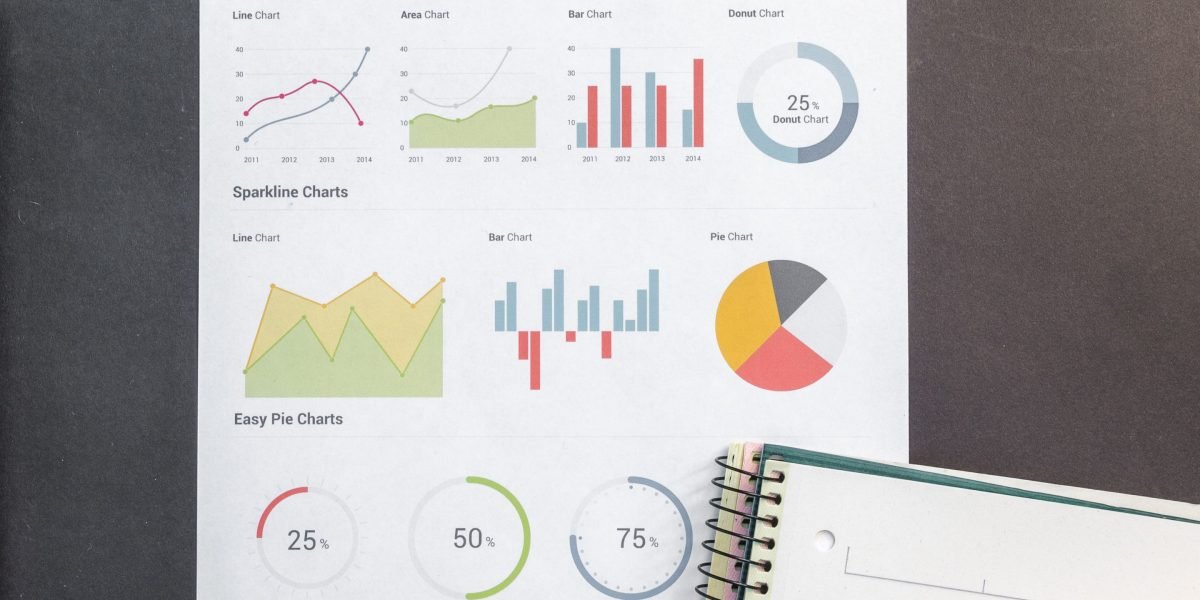 A professional reviewing charts and data, focusing on website performance and growth.