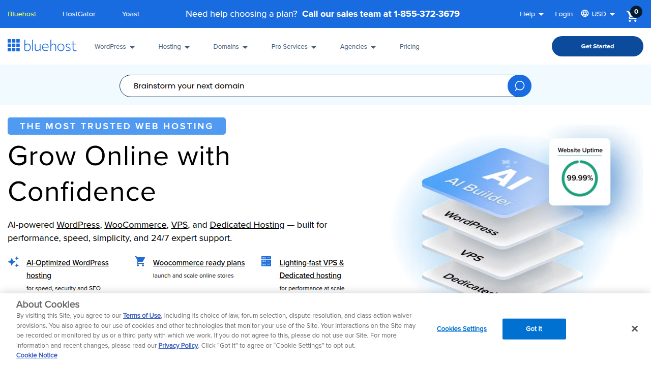 Bluehost WordPress Dashboard for Weblish Beginners