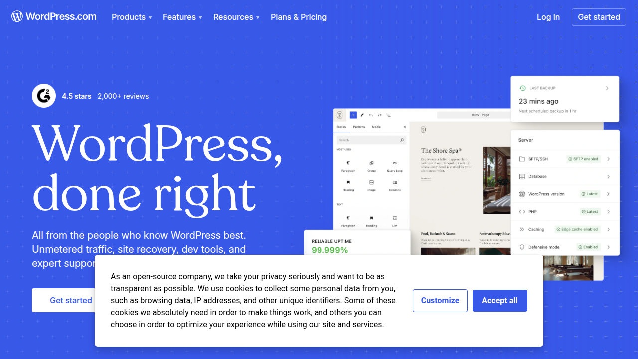 WordPress Dashboard: Powering Weblish Freedom and Plugin Potential