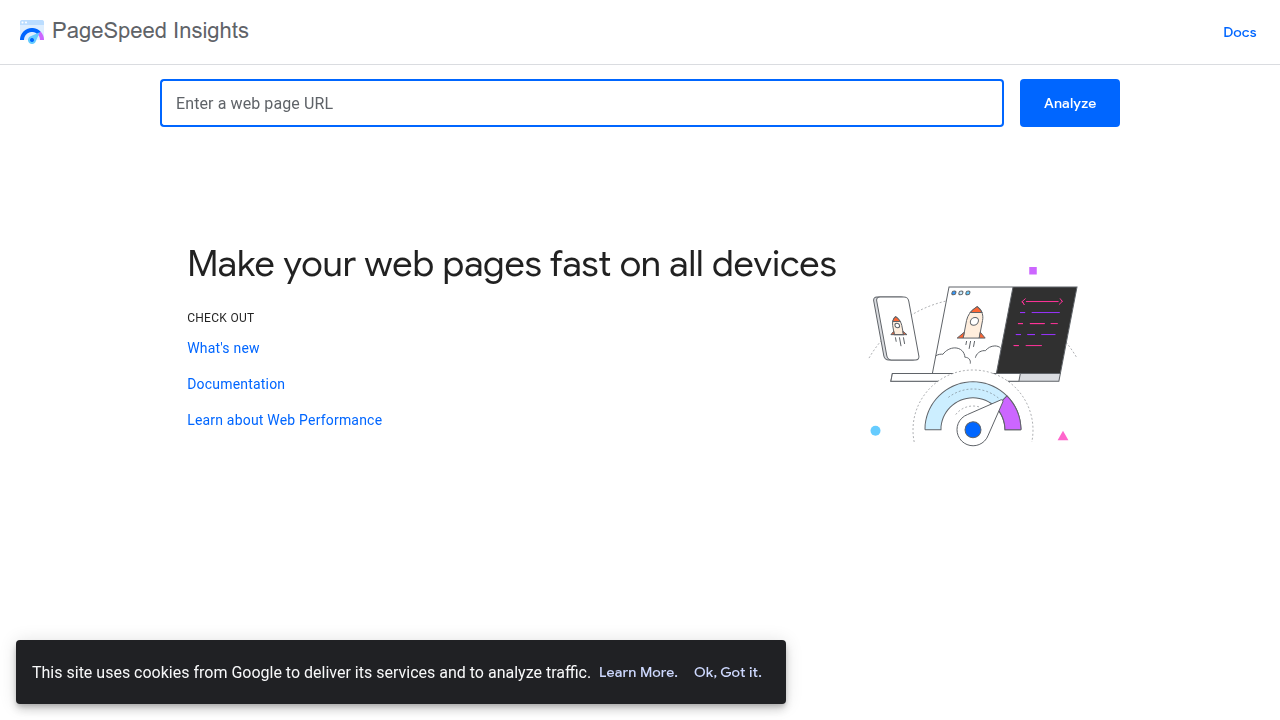 The Google PageSpeed Insights tool, used to evaluate website performance and identify opportunities to improve loading times and user experience for better conversion rates.
