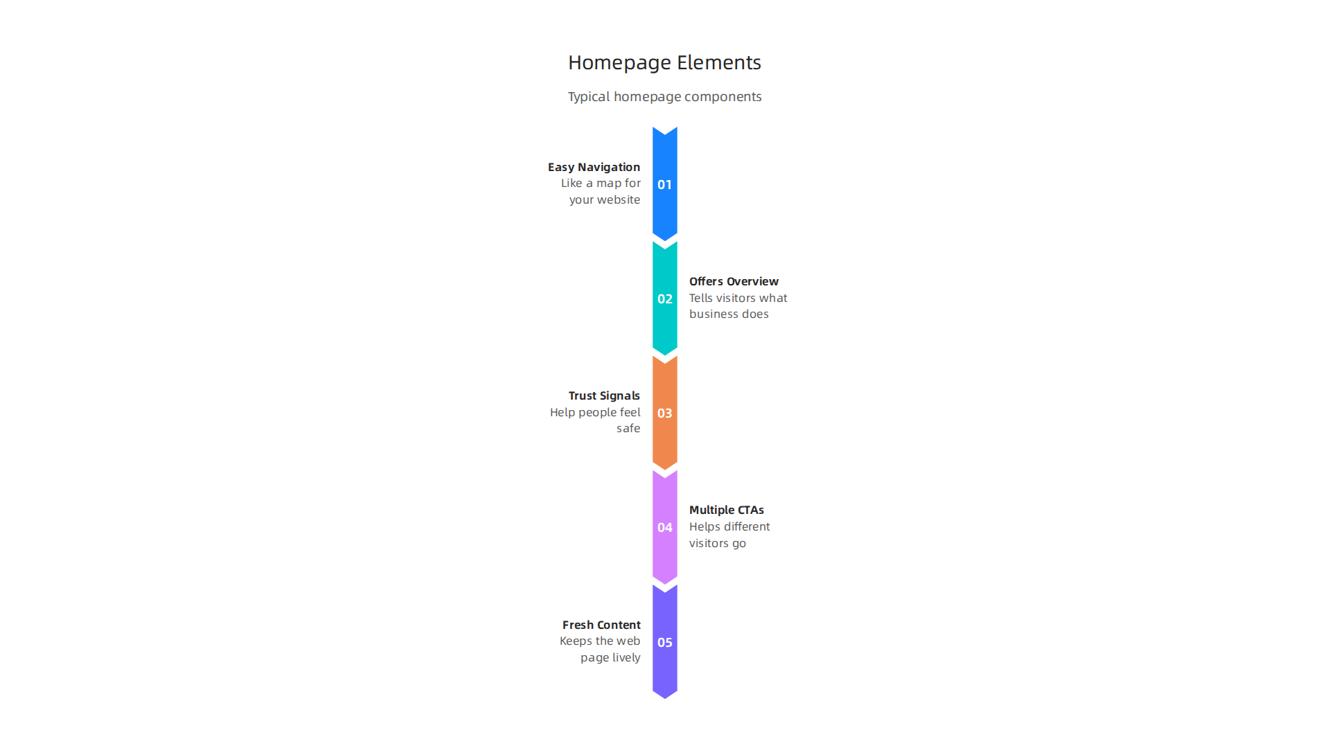 A visual guide to the typical elements found on a website homepage, serving diverse visitor needs.